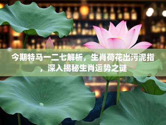 今期特马一二七解析，生肖荷花出污泥指，深入揭秘生肖运势之谜