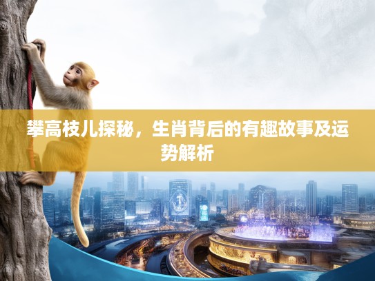 攀高枝儿探秘，生肖背后的有趣故事及运势解析