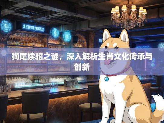 狗尾续貂之谜，深入解析生肖文化传承与创新
