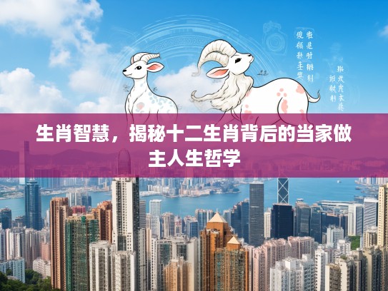 生肖智慧，揭秘十二生肖背后的当家做主人生哲学