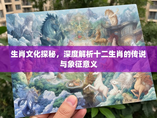生肖文化探秘，深度解析十二生肖的传说与象征意义