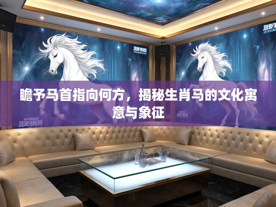 瞻予马首指向何方，揭秘生肖马的文化寓意与象征
