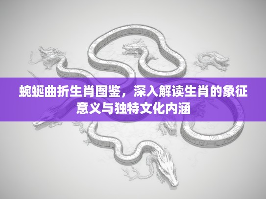 蜿蜒曲折生肖图鉴，深入解读生肖的象征意义与独特文化内涵