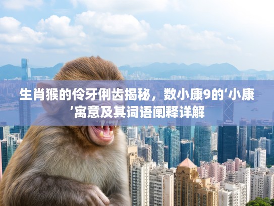 生肖猴的伶牙俐齿揭秘，数小康9的‘小康’寓意及其词语阐释详解