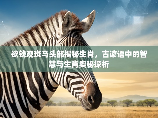欲钱观斑马头部揭秘生肖，古谚语中的智慧与生肖奥秘探析