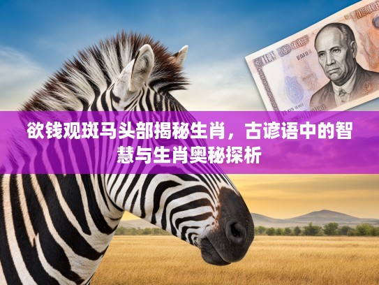 欲钱观斑马头部揭秘生肖，古谚语中的智慧与生肖奥秘探析