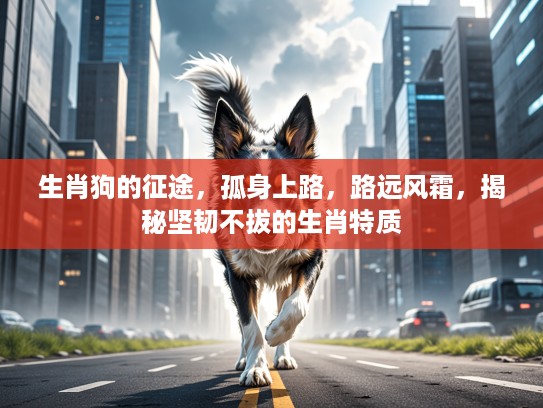 生肖狗的征途，孤身上路，路远风霜，揭秘坚韧不拔的生肖特质
