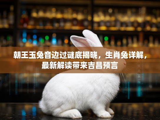朝王玉兔音边过谜底揭晓，生肖兔详解，最新解读带来吉昌预言