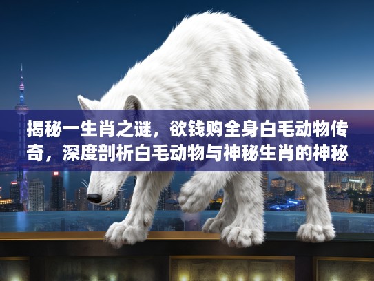 揭秘一生肖之谜，欲钱购全身白毛动物传奇，深度剖析白毛动物与神秘生肖的神秘联系