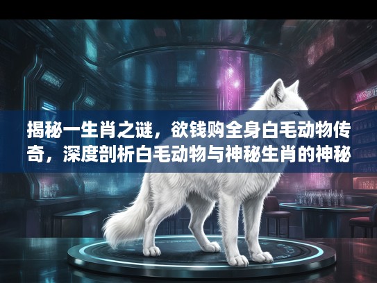 揭秘一生肖之谜，欲钱购全身白毛动物传奇，深度剖析白毛动物与神秘生肖的神秘联系