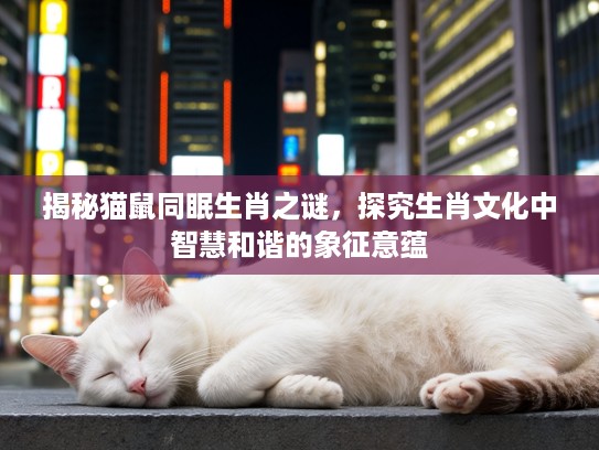 揭秘猫鼠同眠生肖之谜，探究生肖文化中智慧和谐的象征意蕴