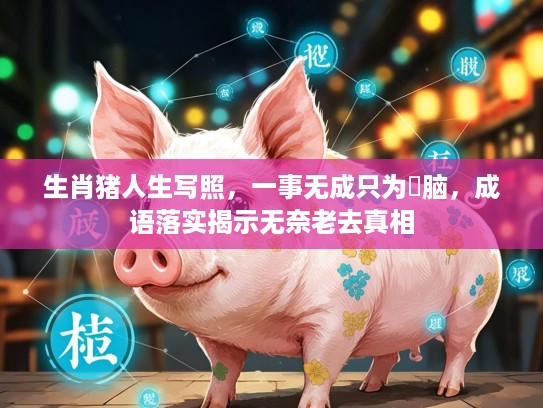 生肖猪人生写照，一事无成只为冇脑，成语落实揭示无奈老去真相