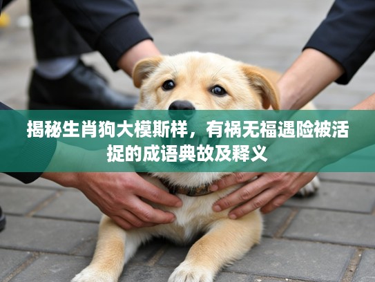 揭秘生肖狗大模斯样，有祸无福遇险被活捉的成语典故及释义
