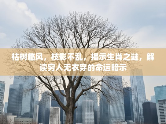枯树临风，枝影不乱，揭示生肖之谜，解读穷人无衣穿的命运暗示