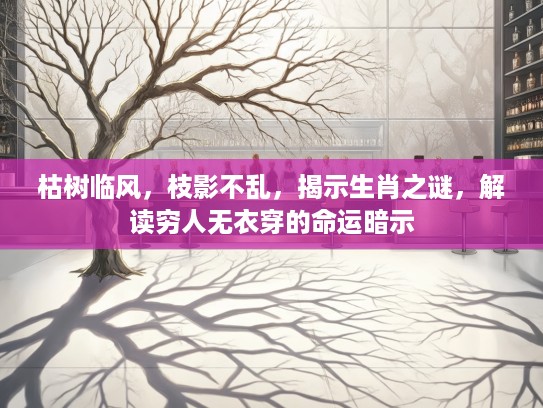 枯树临风，枝影不乱，揭示生肖之谜，解读穷人无衣穿的命运暗示