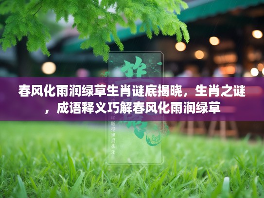 春风化雨润绿草生肖谜底揭晓，生肖之谜，成语释义巧解春风化雨润绿草