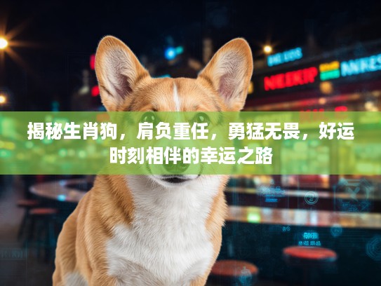 揭秘生肖狗，肩负重任，勇猛无畏，好运时刻相伴的幸运之路