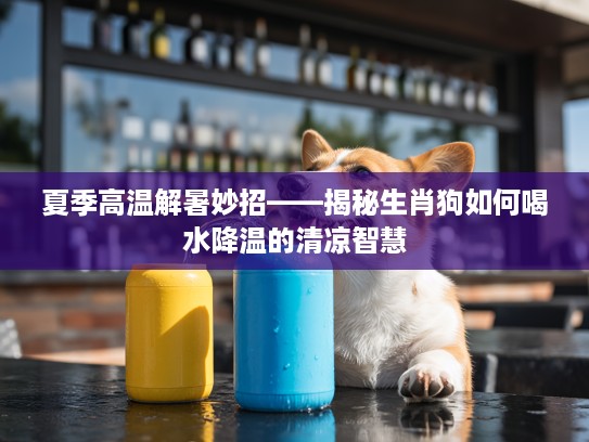 夏季高温解暑妙招——揭秘生肖狗如何喝水降温的清凉智慧