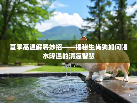 夏季高温解暑妙招——揭秘生肖狗如何喝水降温的清凉智慧