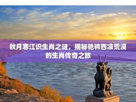 秋月寒江识生肖之谜，揭秘驰骋西凉荒漠的生肖传奇之旅