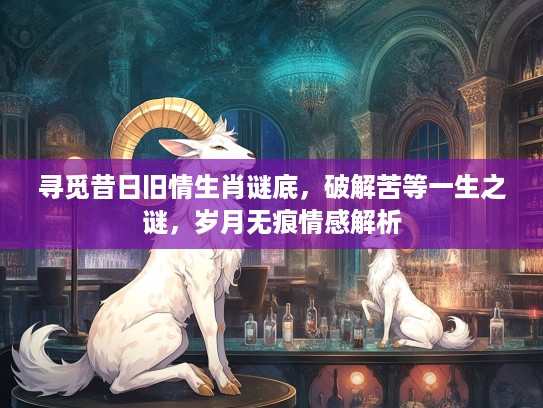 寻觅昔日旧情生肖谜底，破解苦等一生之谜，岁月无痕情感解析