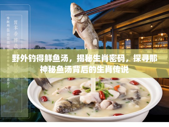 野外钓得鲜鱼汤，揭秘生肖密码，探寻那神秘鱼汤背后的生肖传说
