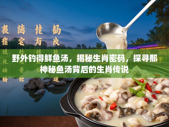 野外钓得鲜鱼汤，揭秘生肖密码，探寻那神秘鱼汤背后的生肖传说