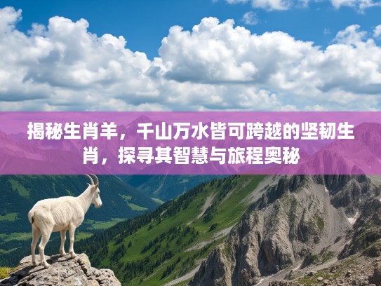 揭秘生肖羊，千山万水皆可跨越的坚韧生肖，探寻其智慧与旅程奥秘