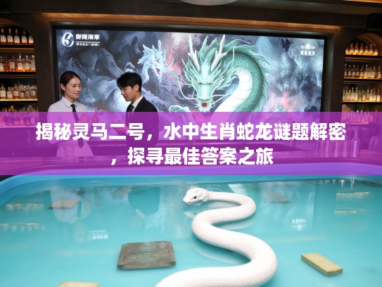 揭秘灵马二号，水中生肖蛇龙谜题解密，探寻最佳答案之旅