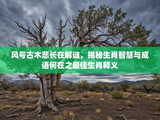 风号古木悲长在解谜，揭秘生肖智慧与成语何在之最佳生肖释义