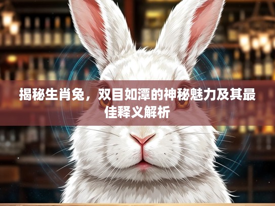 揭秘生肖兔，双目如潭的神秘魅力及其最佳释义解析