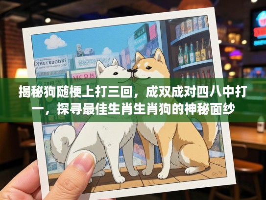 揭秘狗随梗上打三回，成双成对四八中打一，探寻最佳生肖生肖狗的神秘面纱
