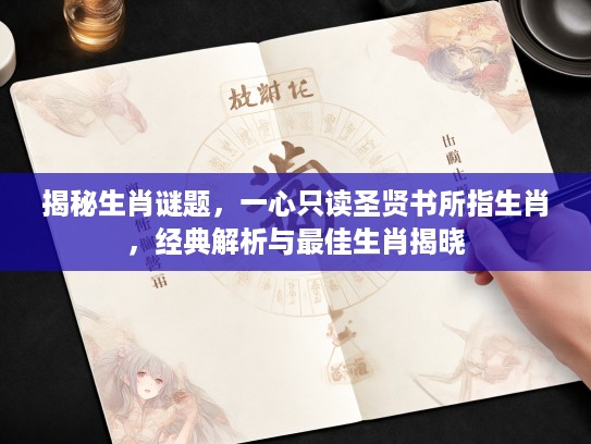 揭秘生肖谜题，一心只读圣贤书所指生肖，经典解析与最佳生肖揭晓