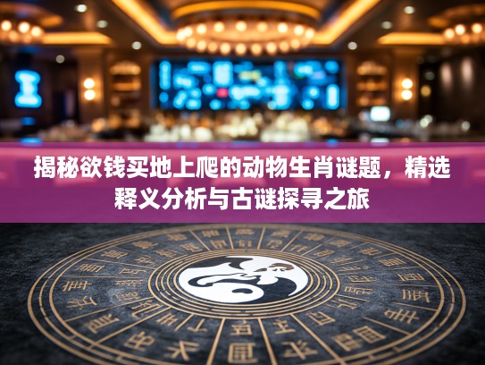 揭秘欲钱买地上爬的动物生肖谜题，精选释义分析与古谜探寻之旅