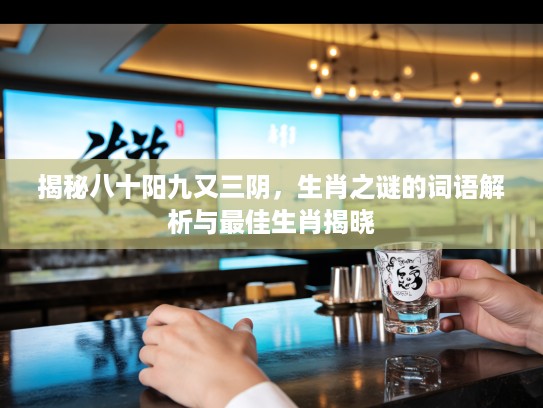 揭秘八十阳九又三阴，生肖之谜的词语解析与最佳生肖揭晓