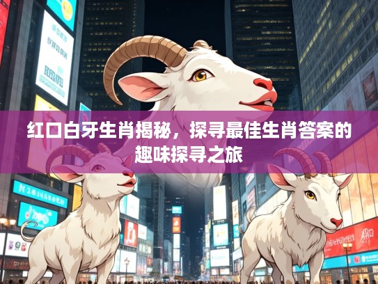 红口白牙生肖揭秘，探寻最佳生肖答案的趣味探寻之旅