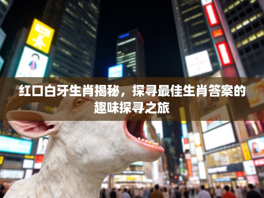 红口白牙生肖揭秘，探寻最佳生肖答案的趣味探寻之旅