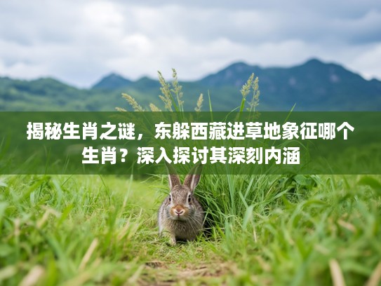揭秘生肖之谜，东躲西藏进草地象征哪个生肖？深入探讨其深刻内涵