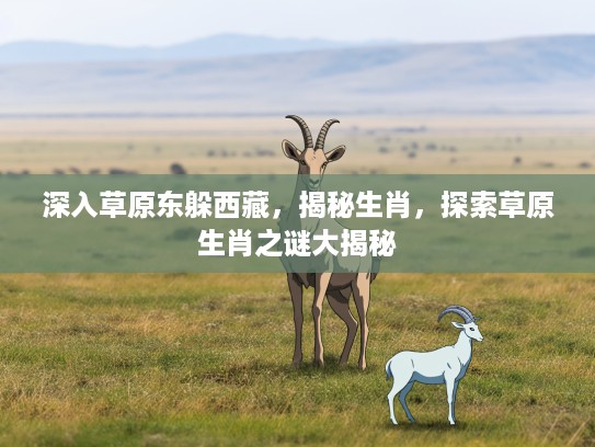 深入草原东躲西藏，揭秘生肖，探索草原生肖之谜大揭秘