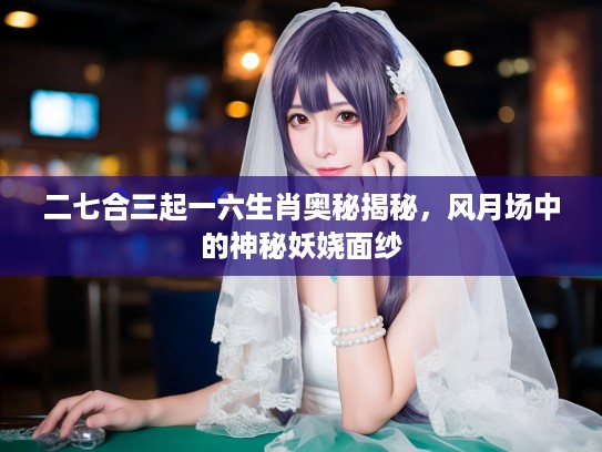 二七合三起一六生肖奥秘揭秘，风月场中的神秘妖娆面纱