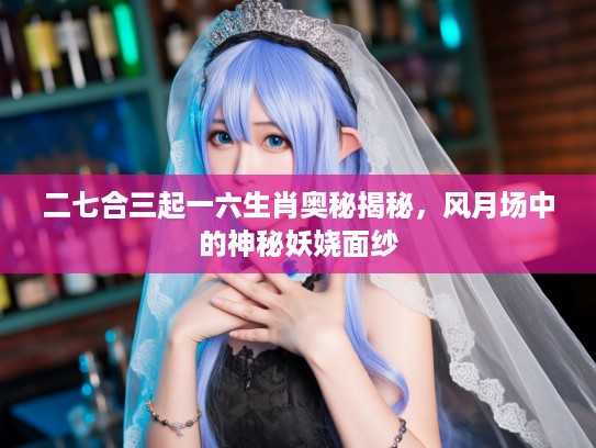 二七合三起一六生肖奥秘揭秘，风月场中的神秘妖娆面纱