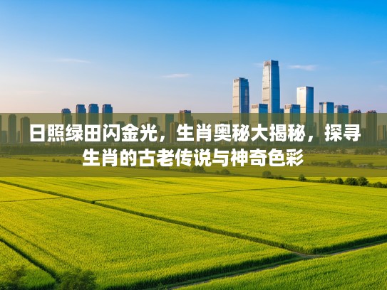 日照绿田闪金光，生肖奥秘大揭秘，探寻生肖的古老传说与神奇色彩