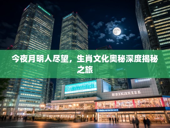 今夜月明人尽望，生肖文化奥秘深度揭秘之旅