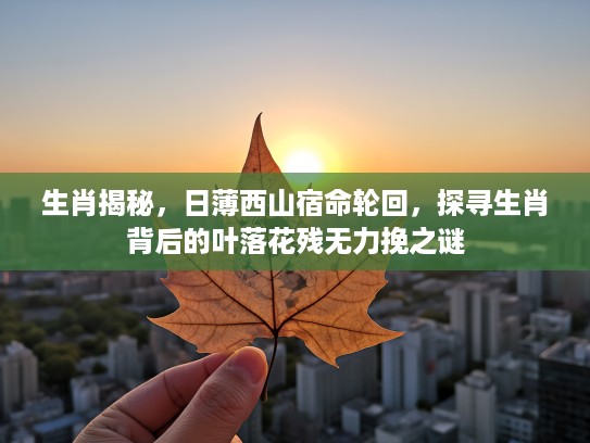 生肖揭秘，日薄西山宿命轮回，探寻生肖背后的叶落花残无力挽之谜