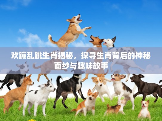 欢蹦乱跳生肖揭秘，探寻生肖背后的神秘面纱与趣味故事