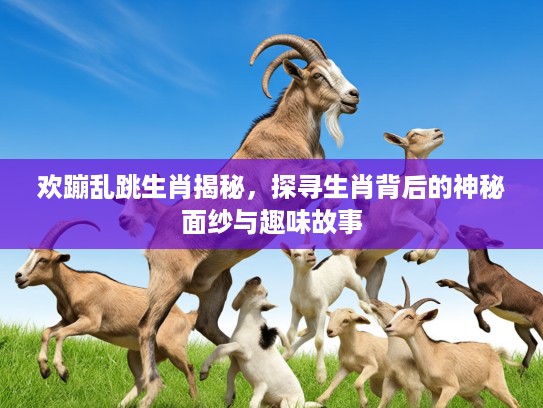 欢蹦乱跳生肖揭秘，探寻生肖背后的神秘面纱与趣味故事