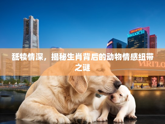舐犊情深，揭秘生肖背后的动物情感纽带之谜