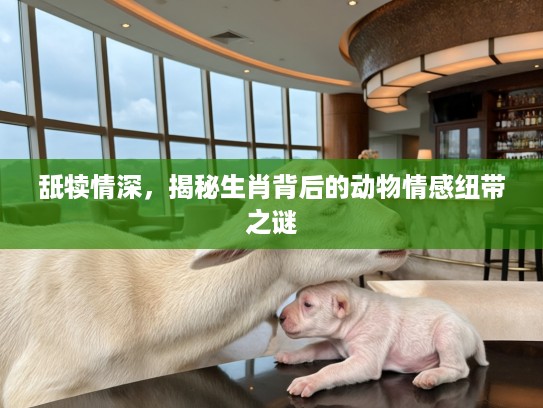 舐犊情深，揭秘生肖背后的动物情感纽带之谜
