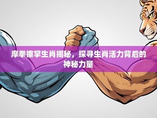 摩拳擦掌生肖揭秘，探寻生肖活力背后的神秘力量