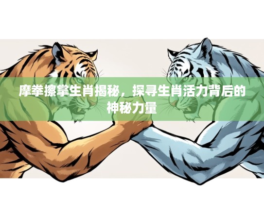 摩拳擦掌生肖揭秘，探寻生肖活力背后的神秘力量